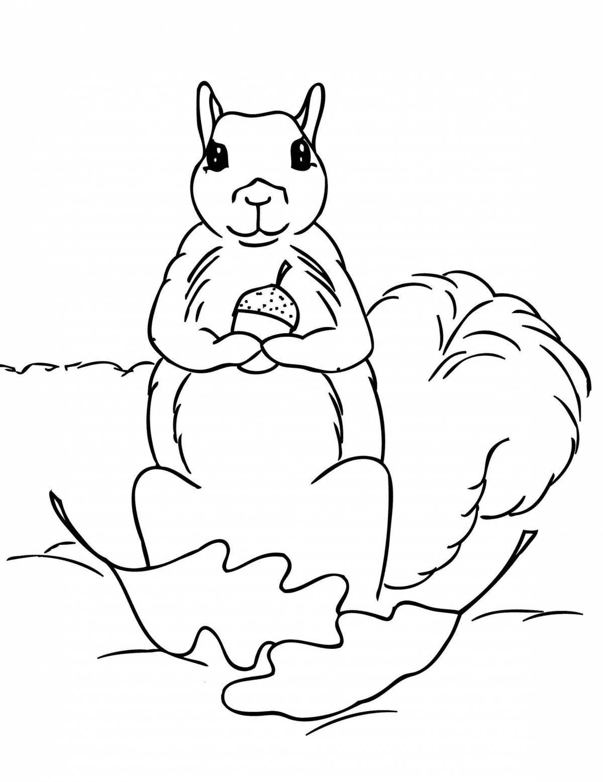 Sweet squirrel coloring for kids
