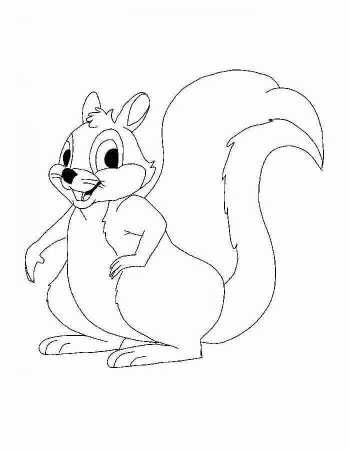 Great squirrel coloring book for kids