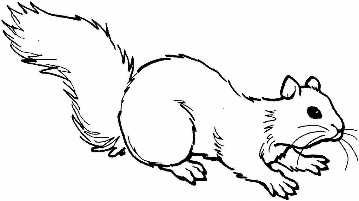 Animated squirrel coloring page