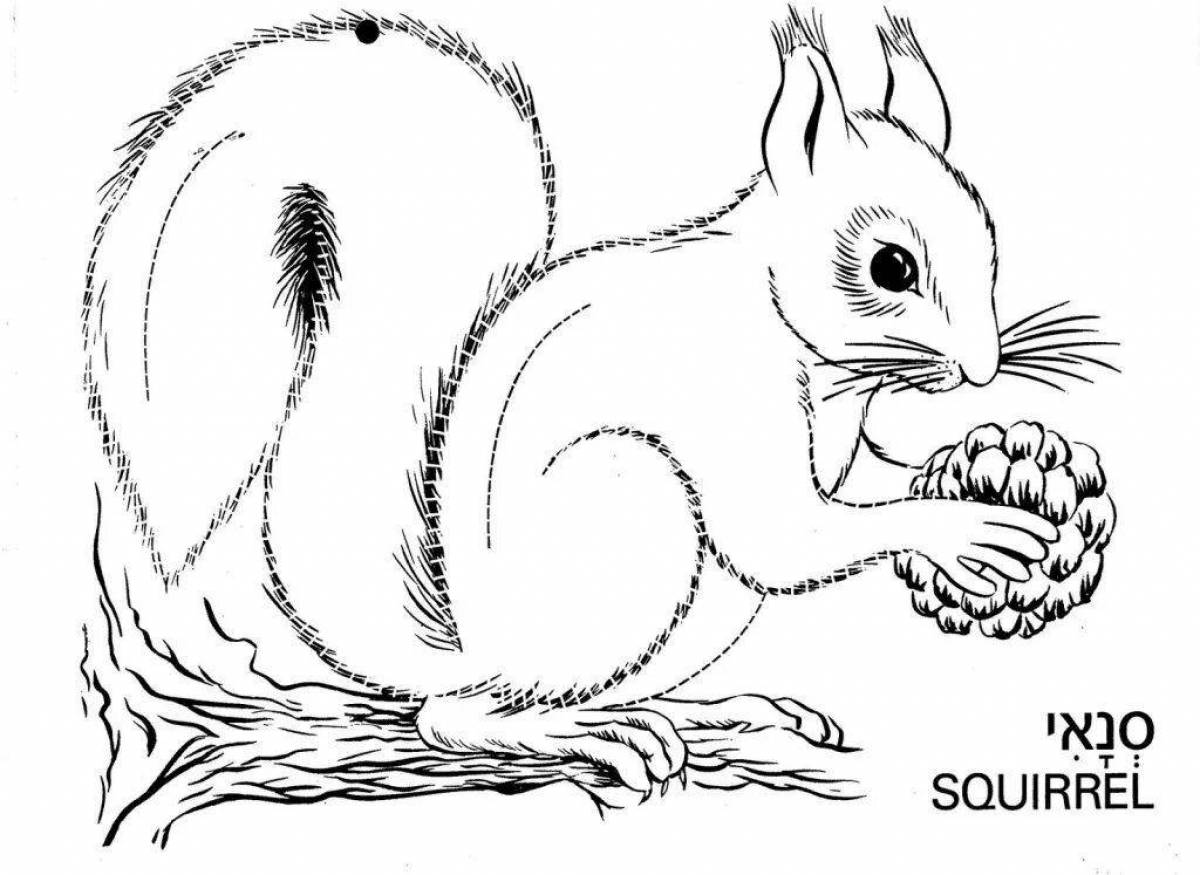 Coloring page happy squirrel