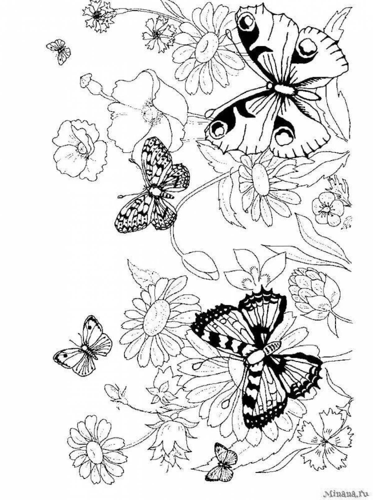 Фото Очаровательная раскраска цветы и бабочки для девочек
