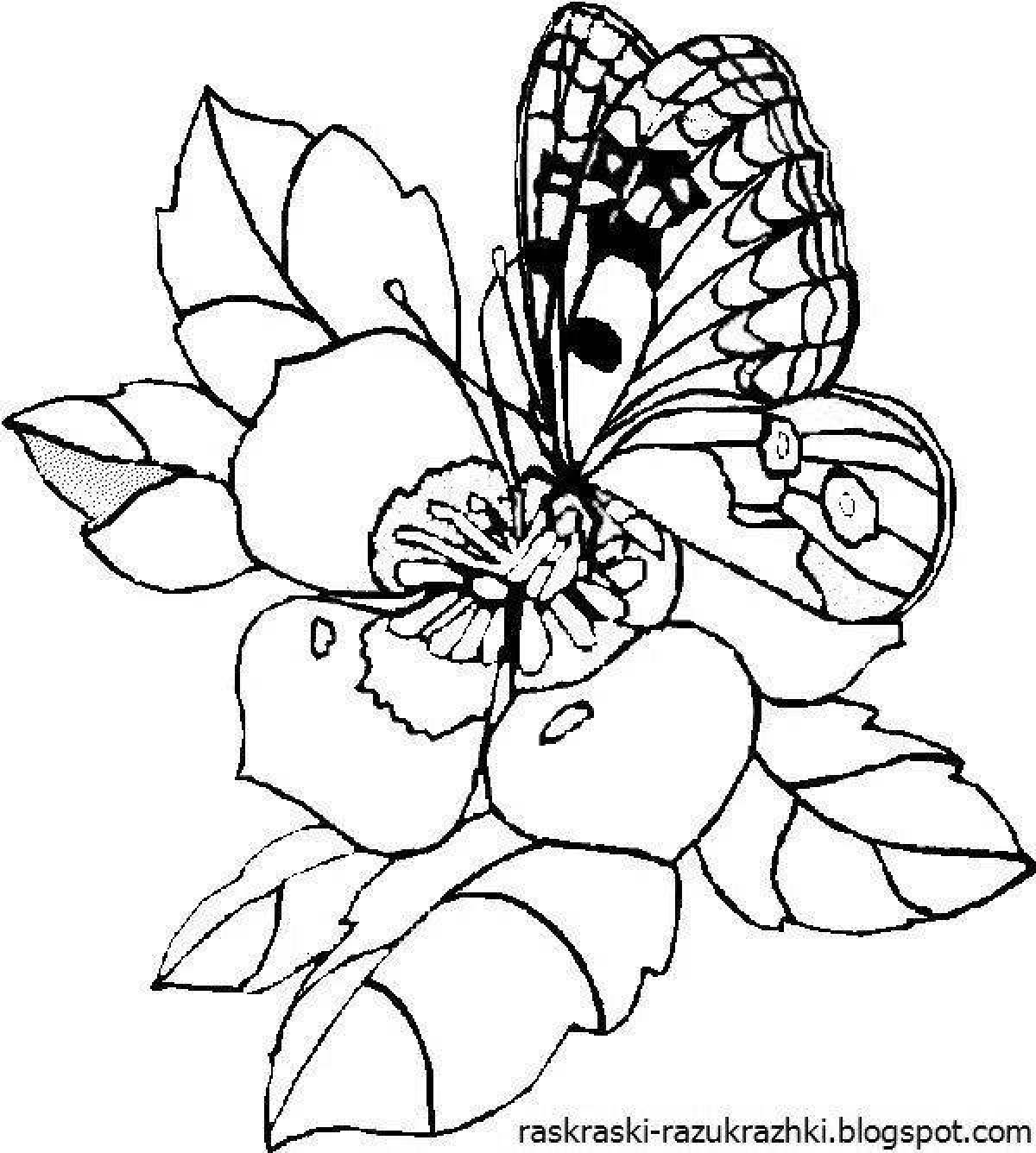 Фото Игривая раскраска цветы и бабочки для девочек