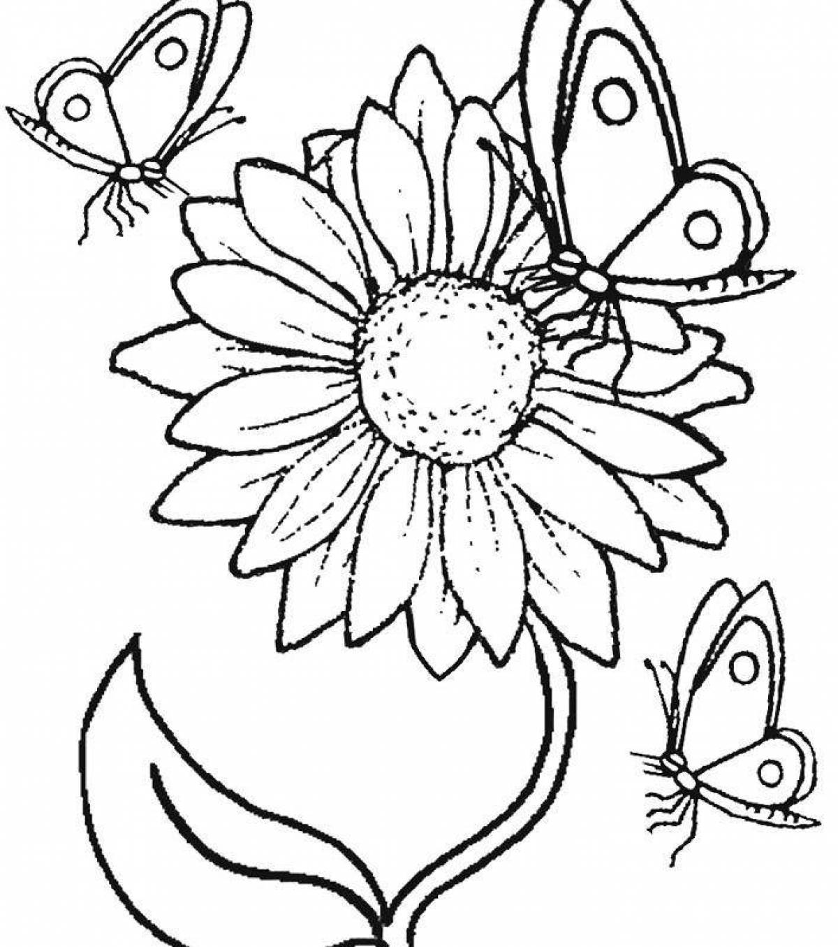 Фото Элегантная раскраска цветы и бабочки для девочек