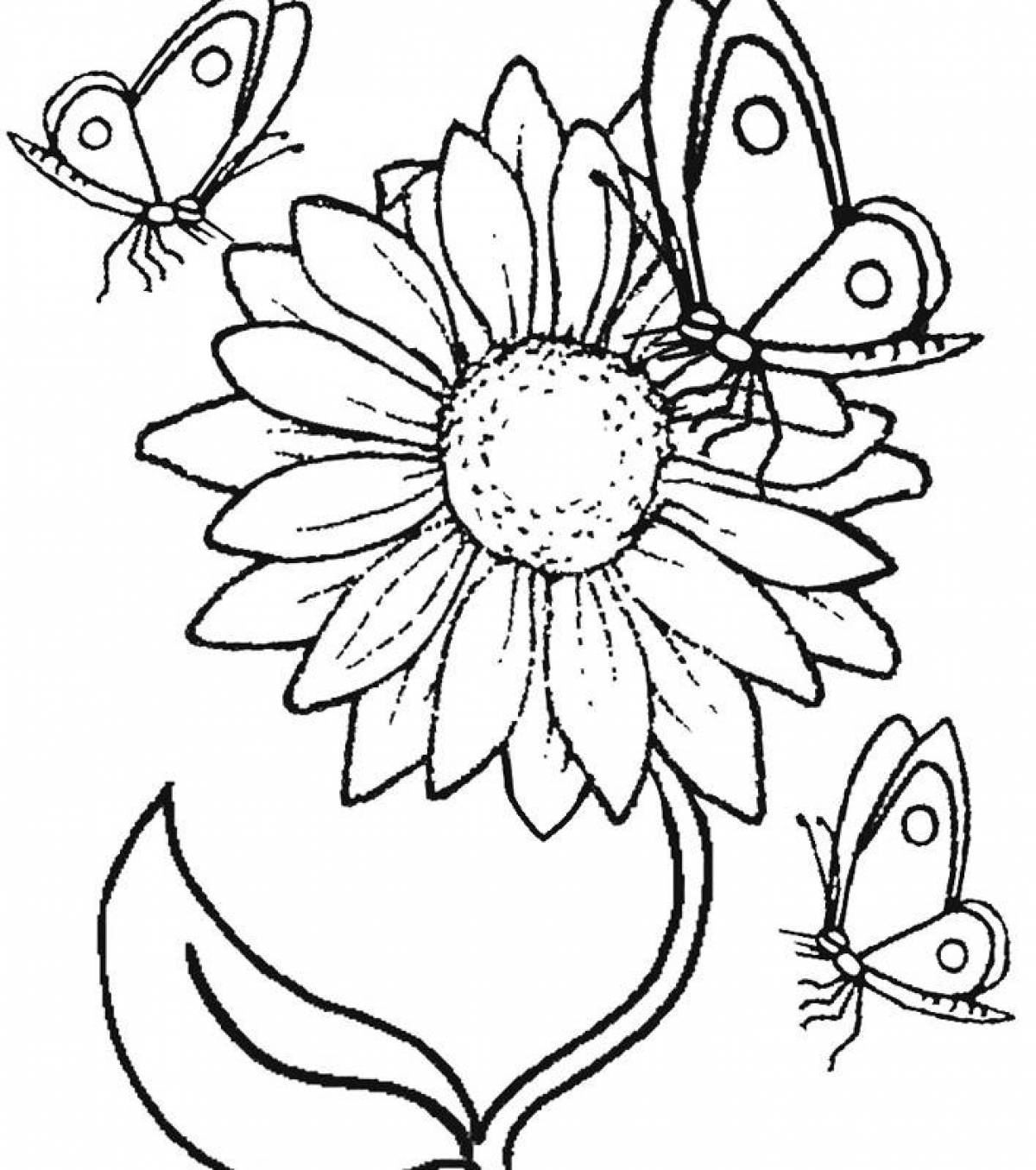 Dazzling coloring flowers and butterflies for girls