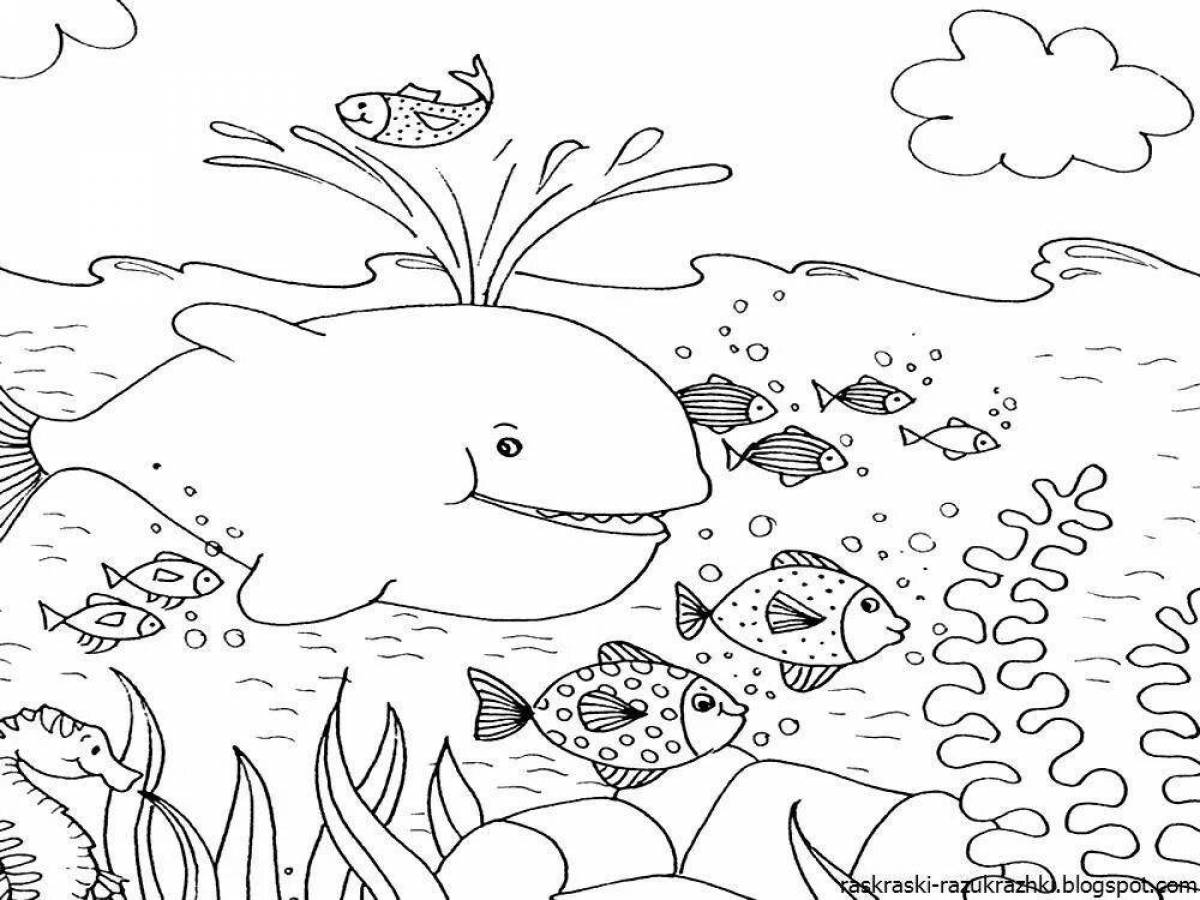 Exquisite marine life coloring book for 5-6 year olds