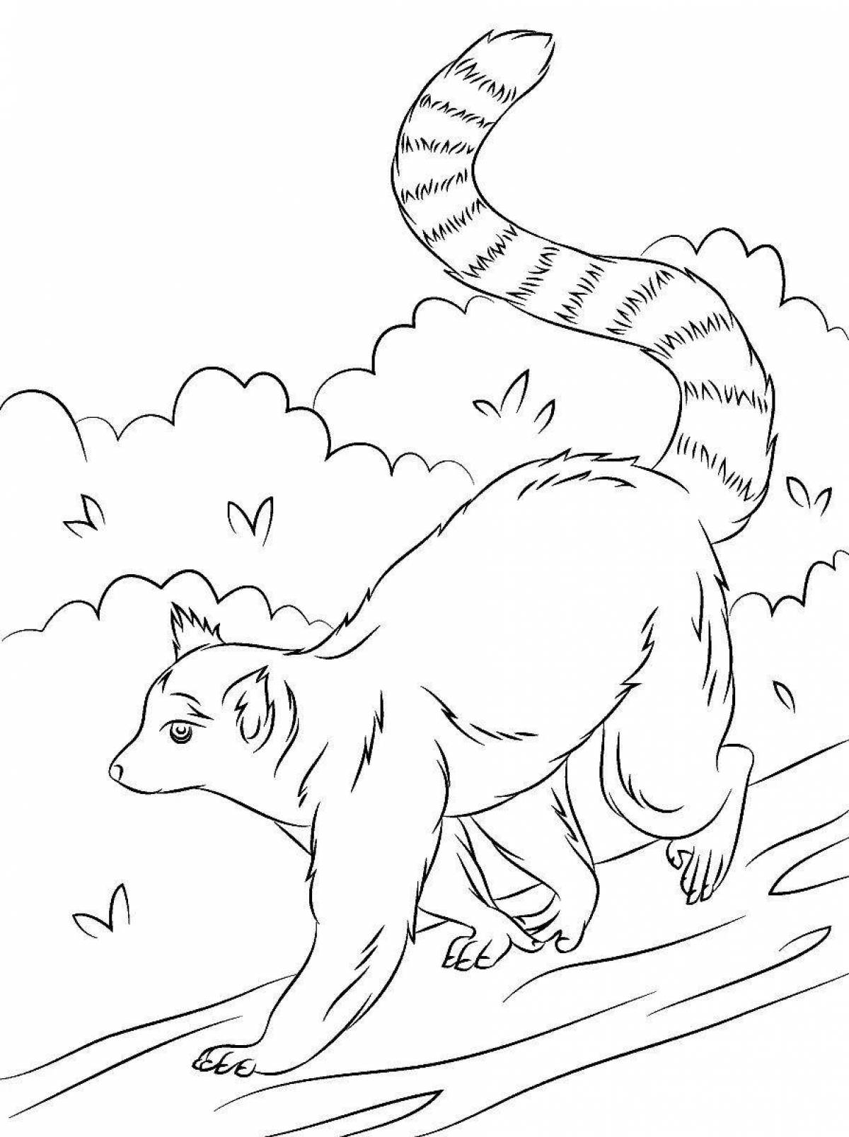 Adorable meerkat coloring page