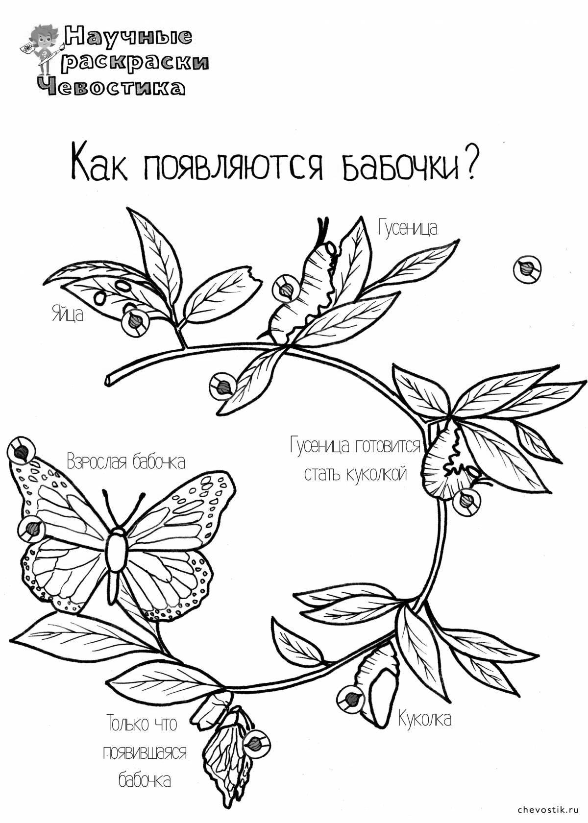 Coloring exciting science services