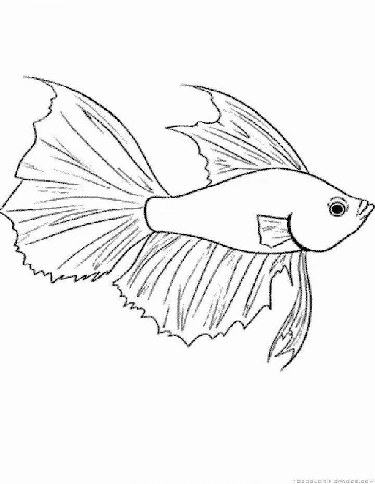 Раскраска сияющая аквариумная рыбка