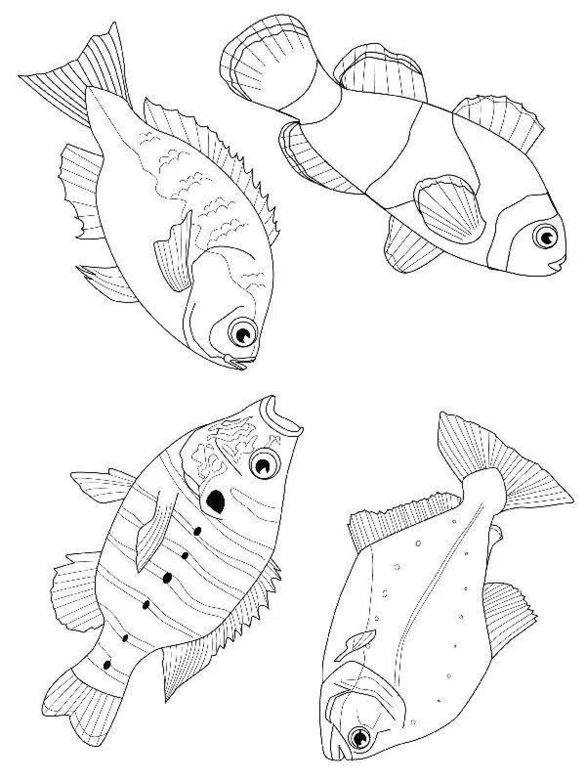 Live aquarium fish coloring book