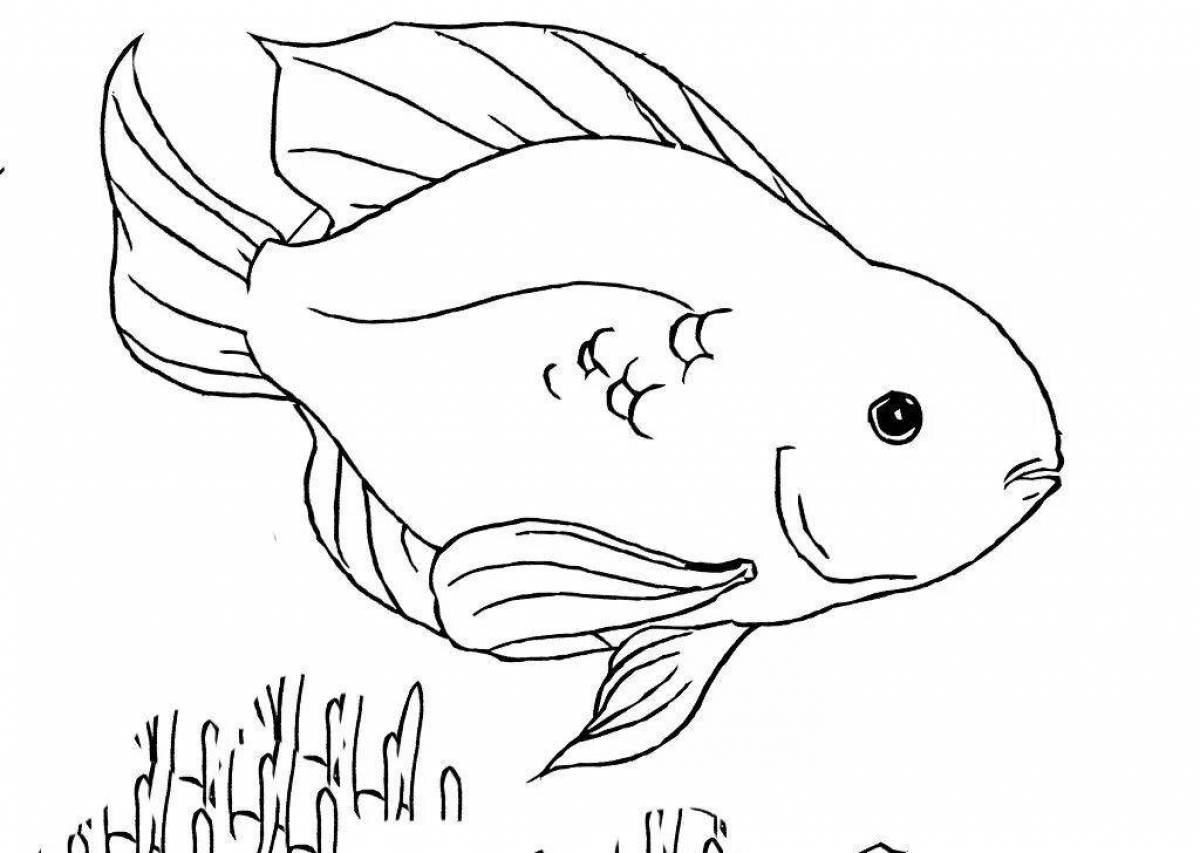 Раскраска живая аквариумная рыбка