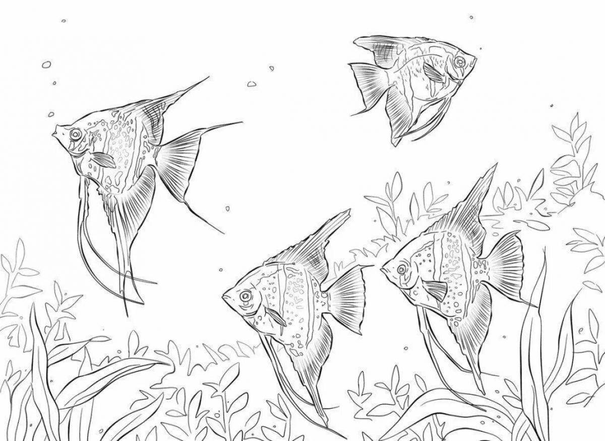 Attractive aquarium fish coloring page