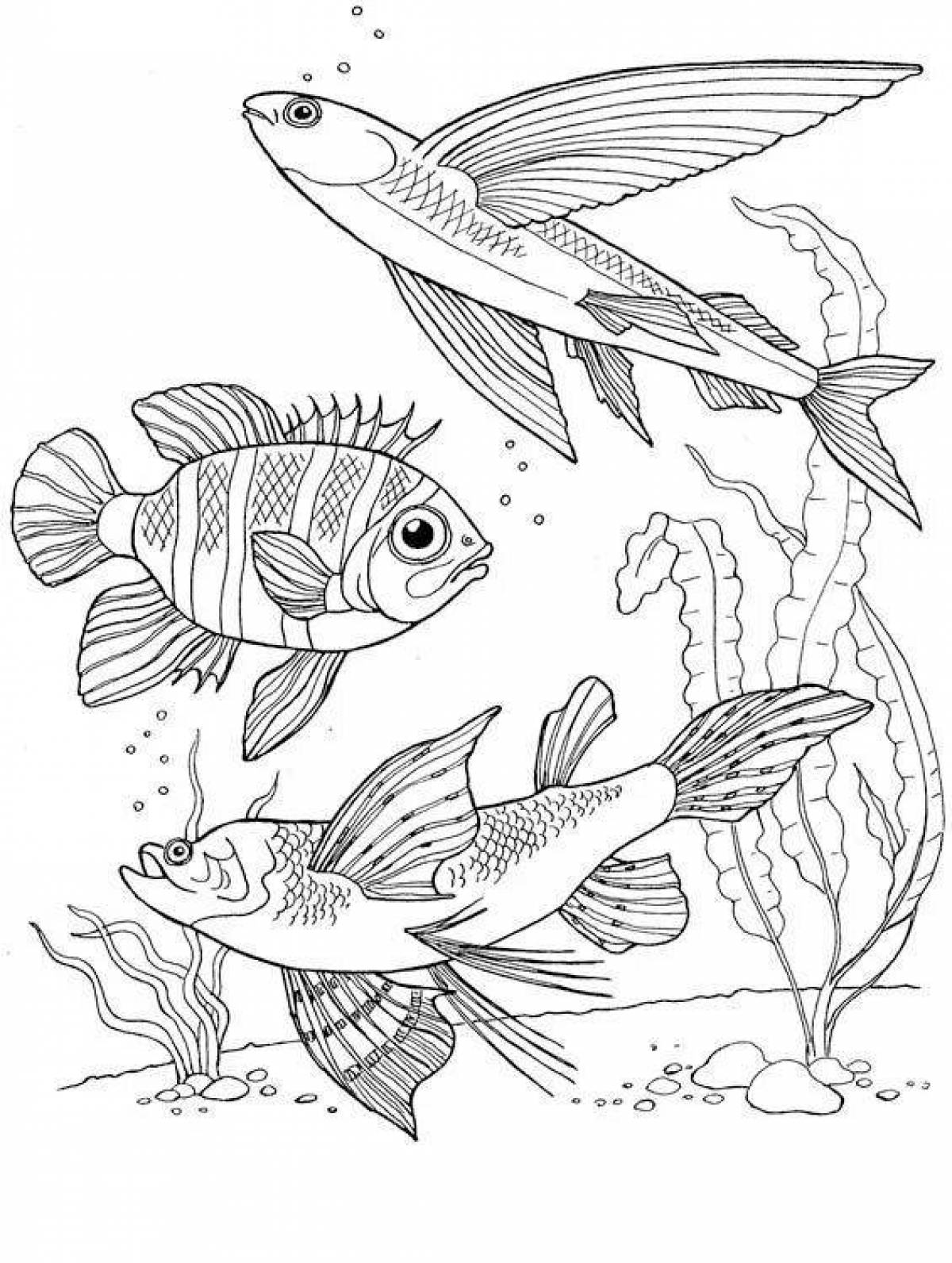 Impressive aquarium fish coloring page