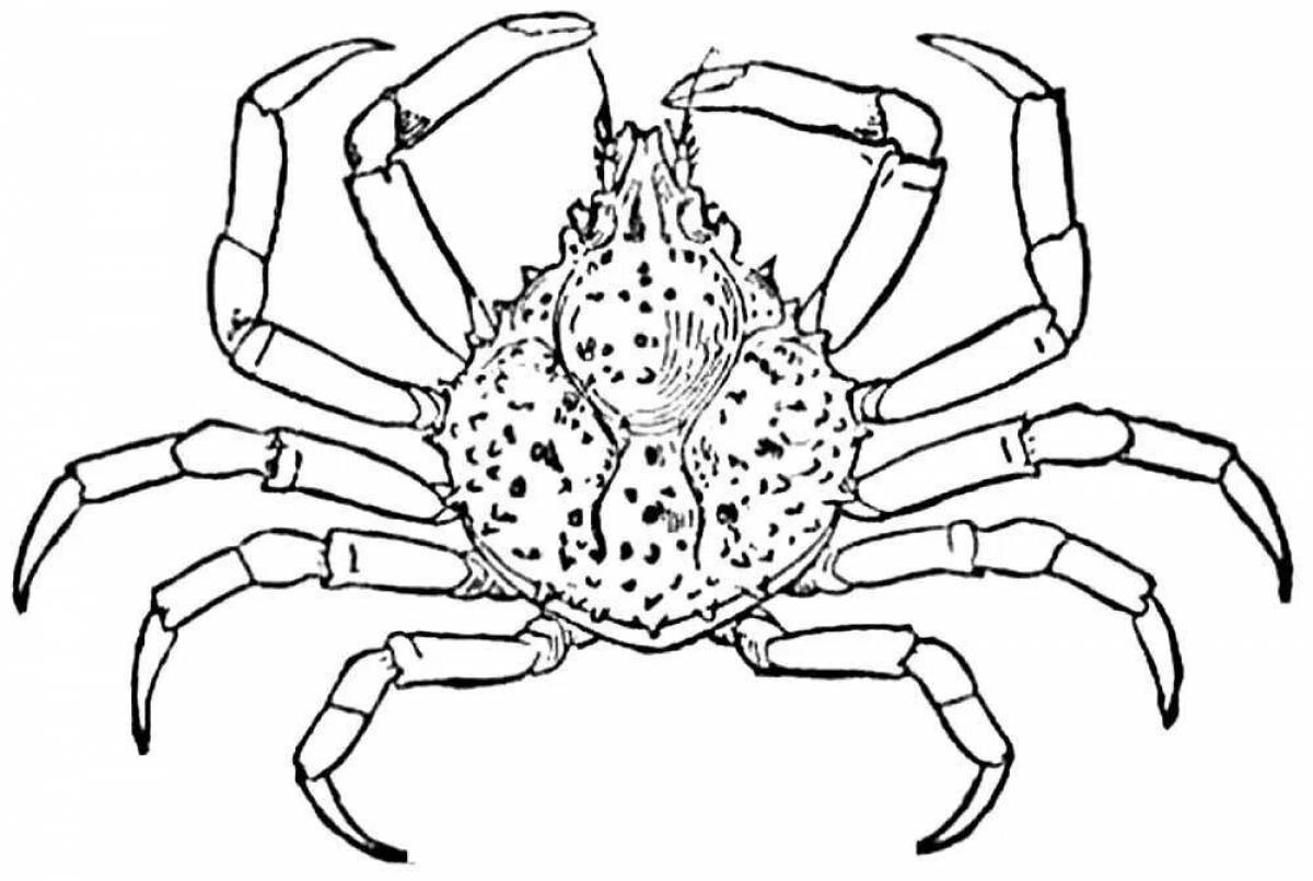 Краб рисунок раскраска