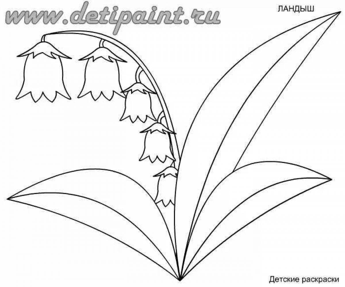 раскраска ландыш для детей