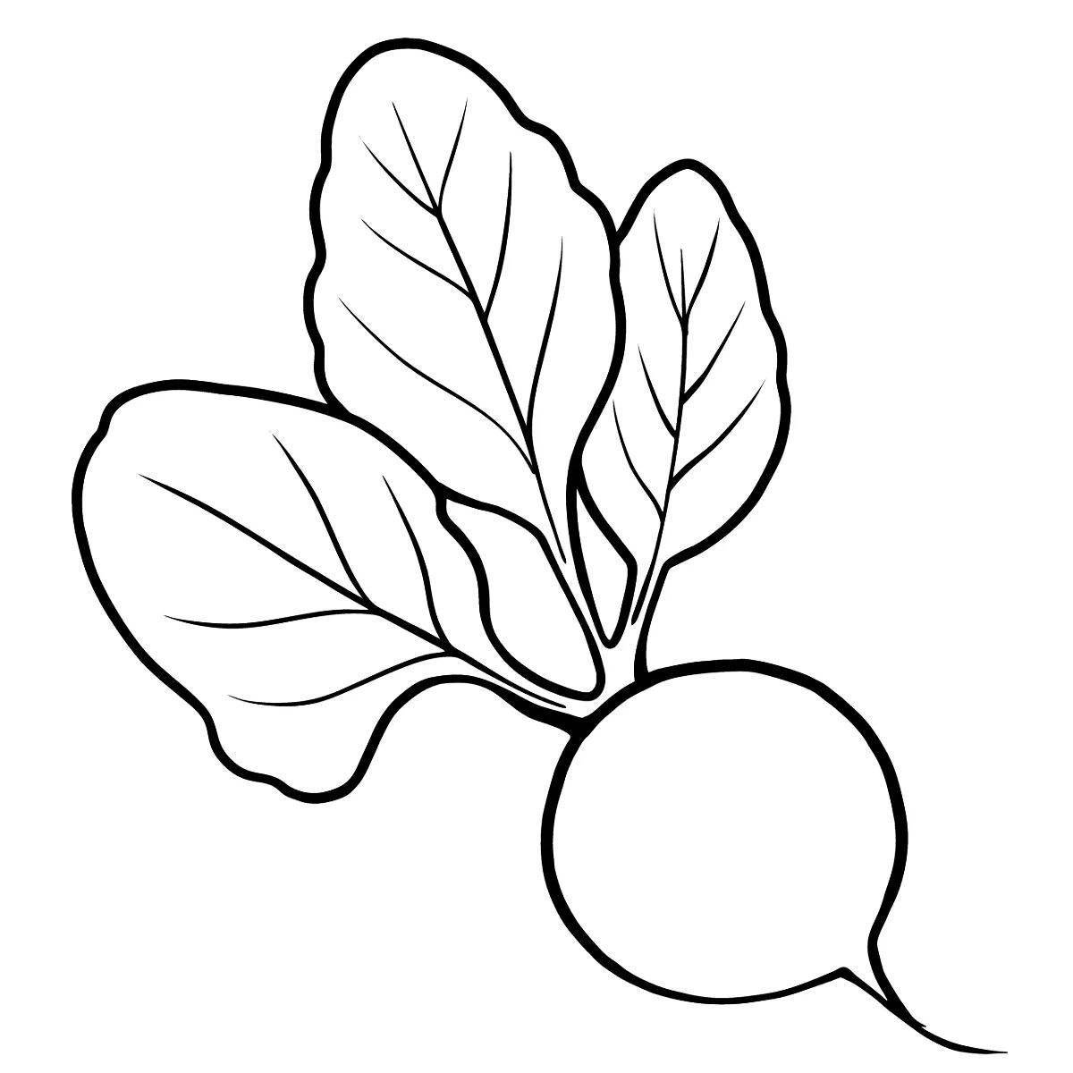 Adorable beetroot coloring book for kids