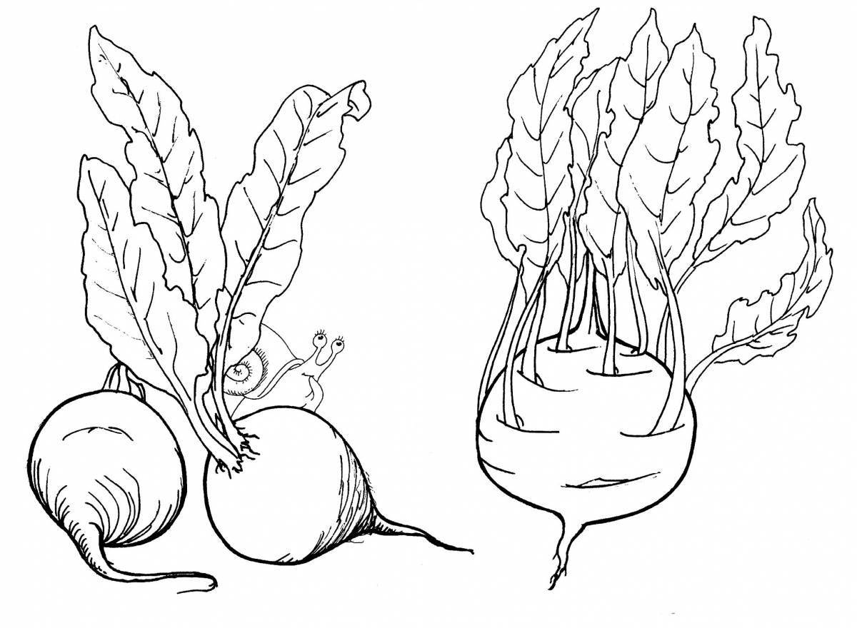 Fabulous beetroot coloring book for kids
