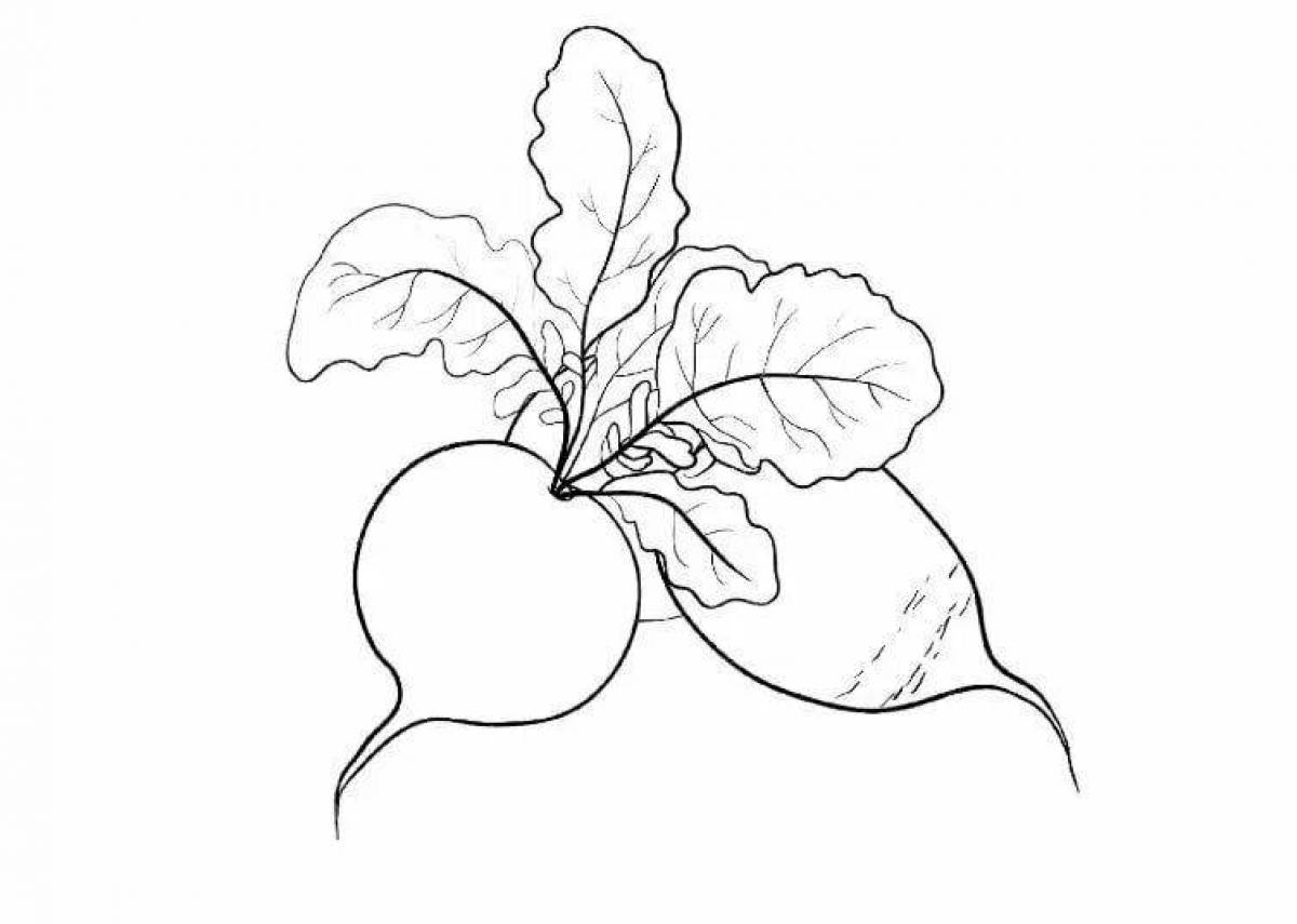 Great beetroot coloring book for kids