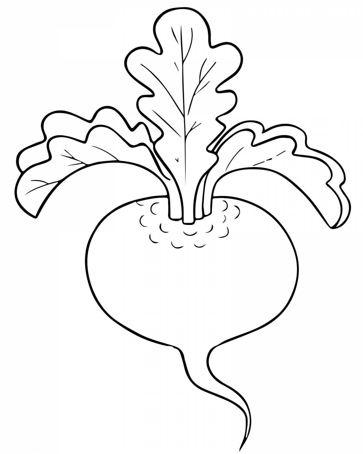 Cute beetroot coloring book for kids