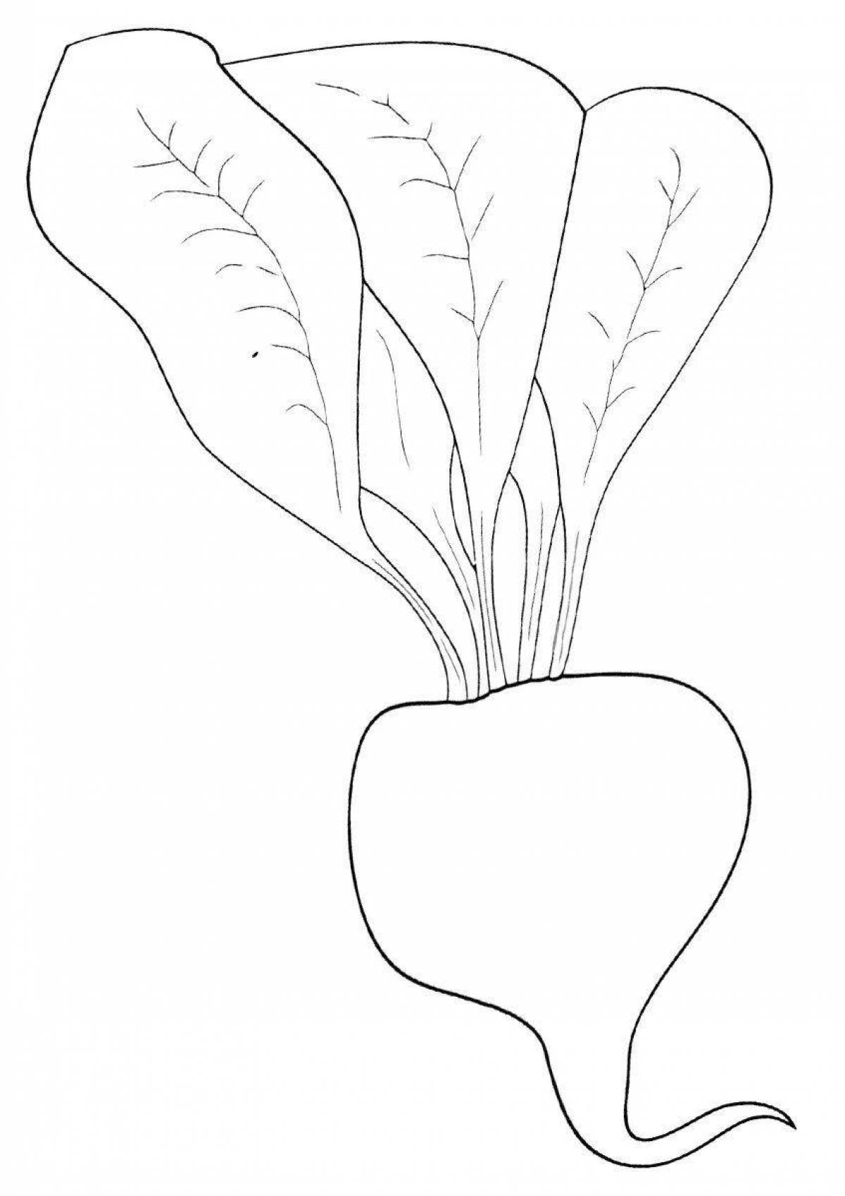 Sweet beetroot coloring book for kids