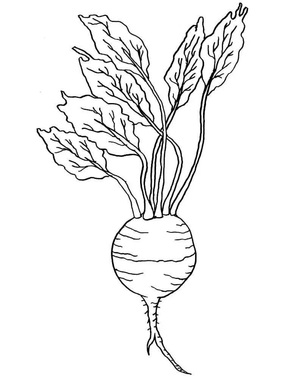 Outstanding beetroot coloring page for kids