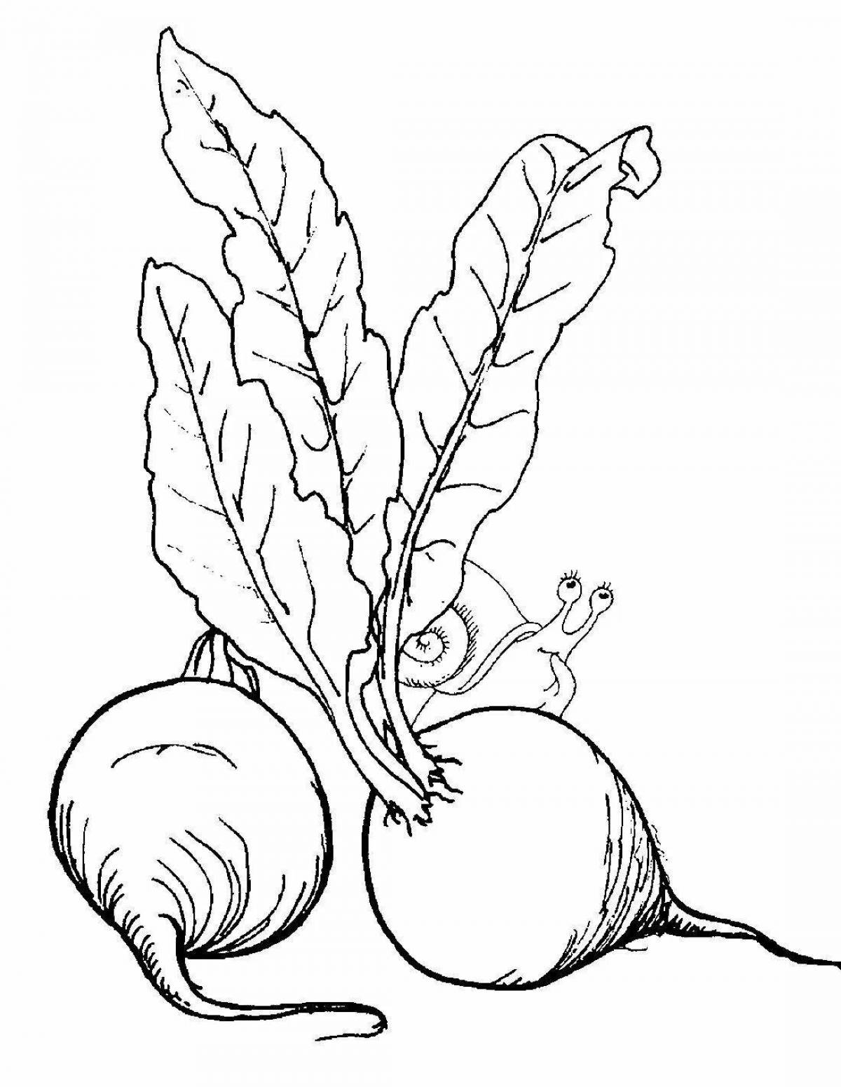Famous beetroot coloring book for kids