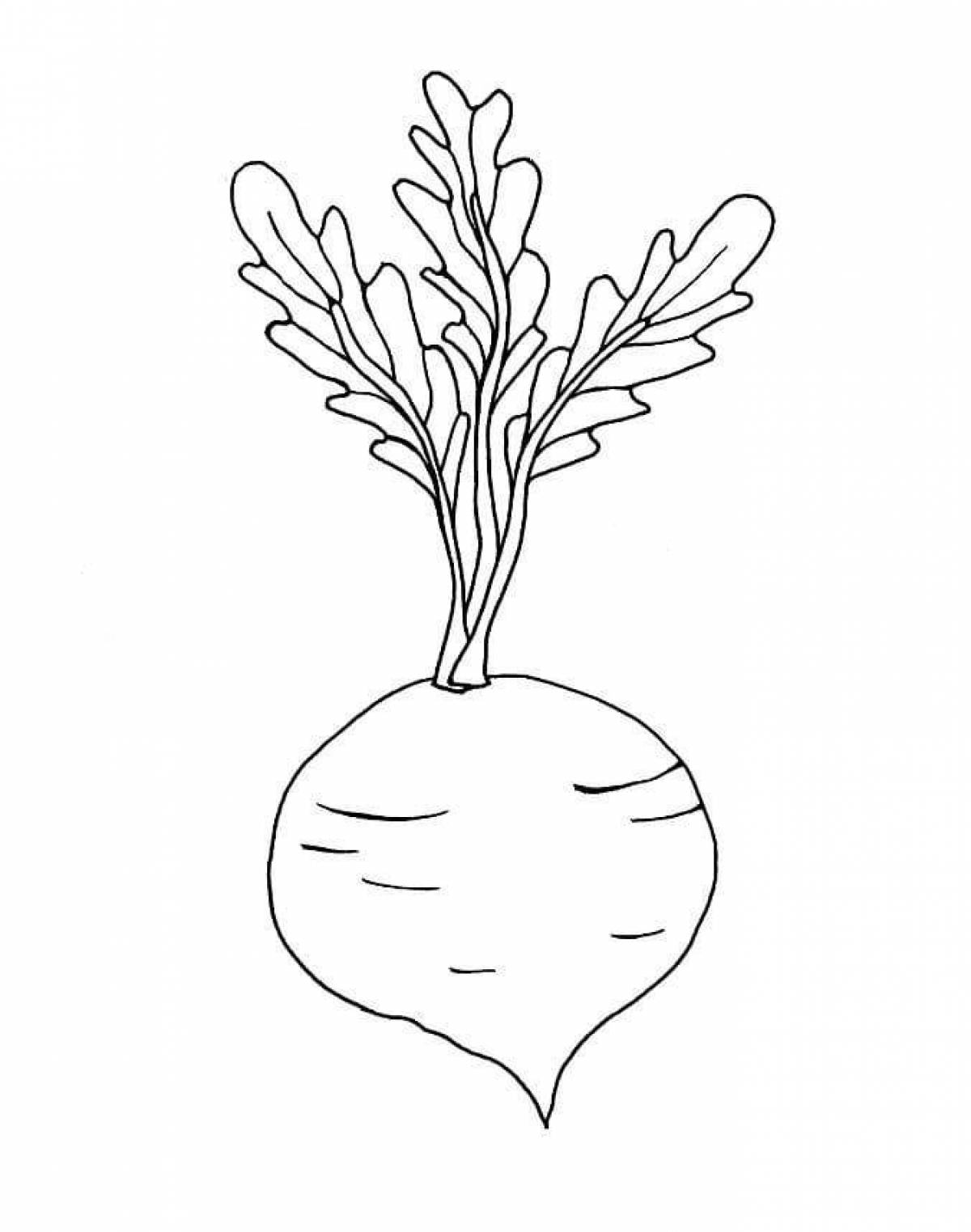 Unique beetroot coloring page for kids
