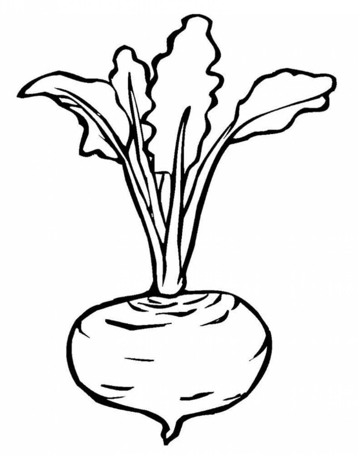 Distinctive beetroot coloring pages for kids