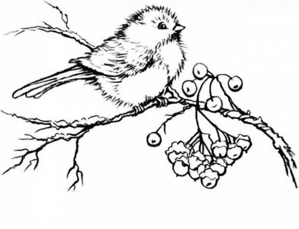 Charming tit on a branch
