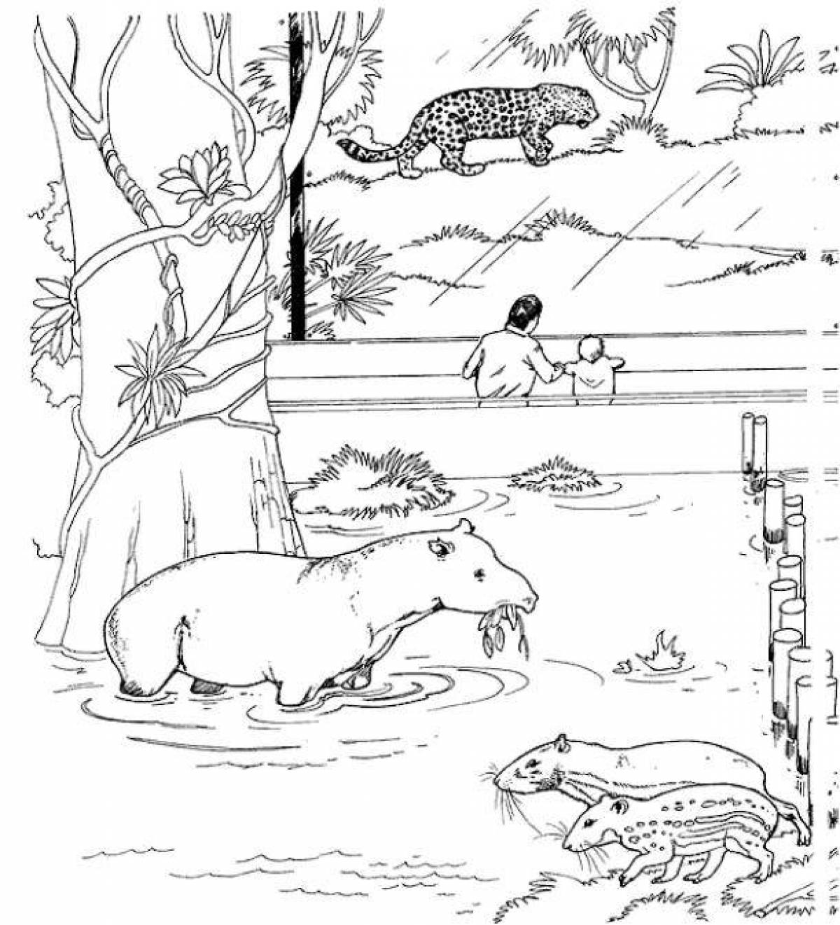 Attractive zoo coloring book for kids