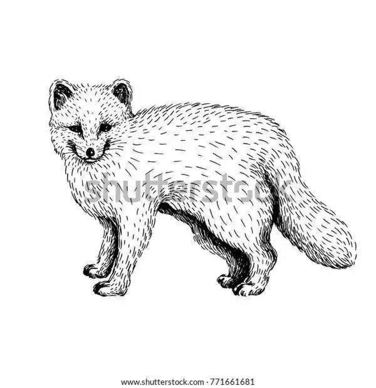 Adorable fox coloring pages for kids