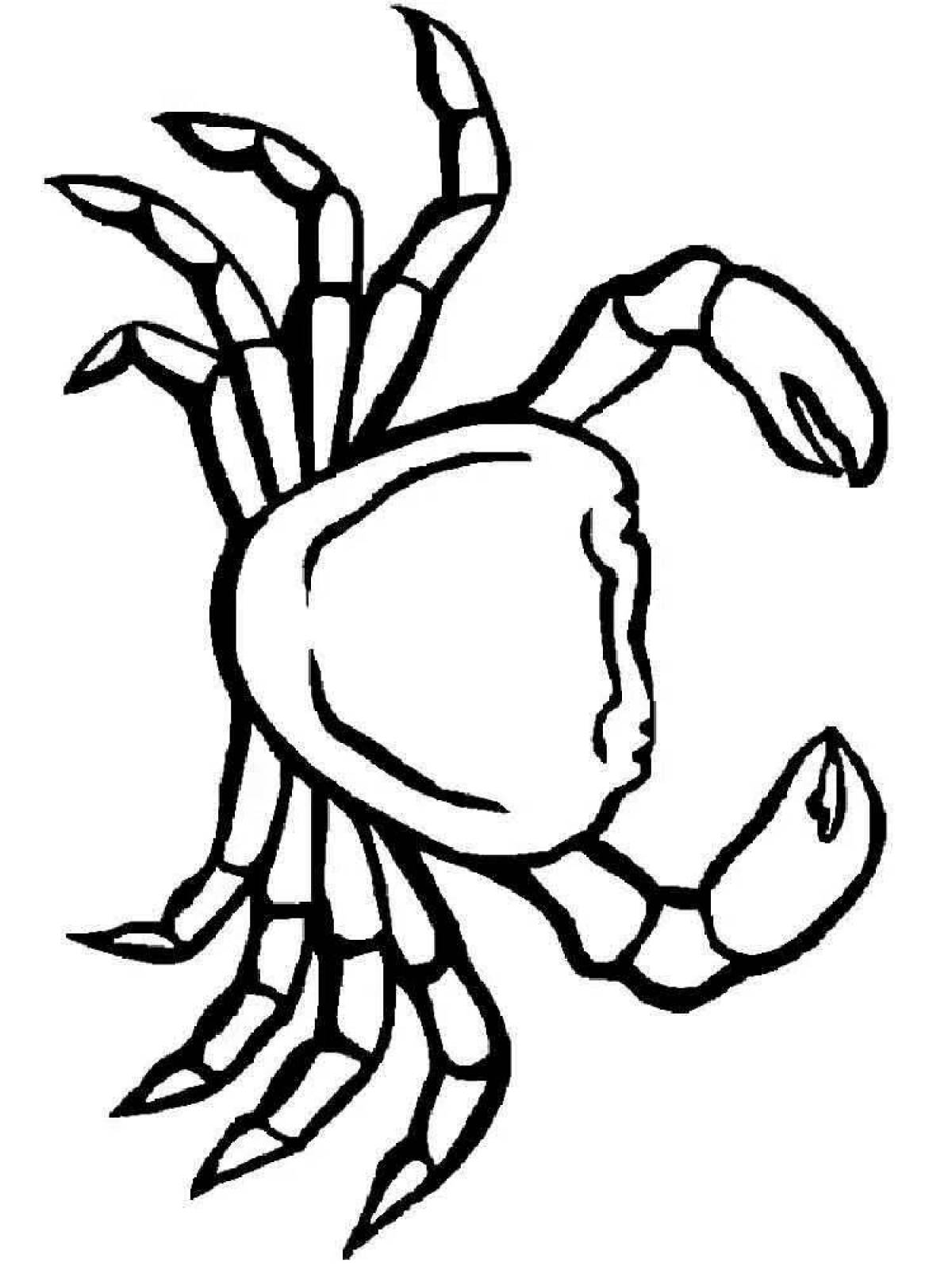 Photo Crab for kids #2