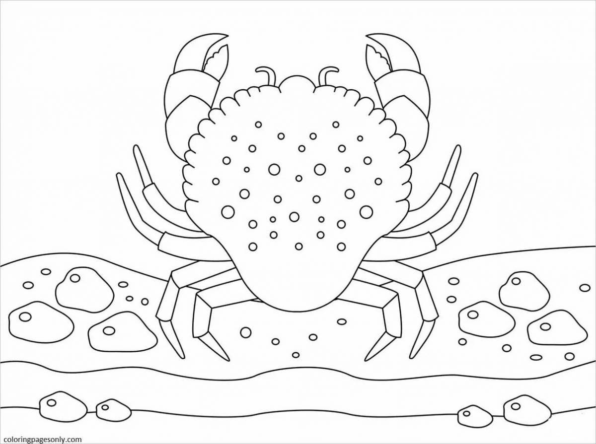 Crab for kids #3