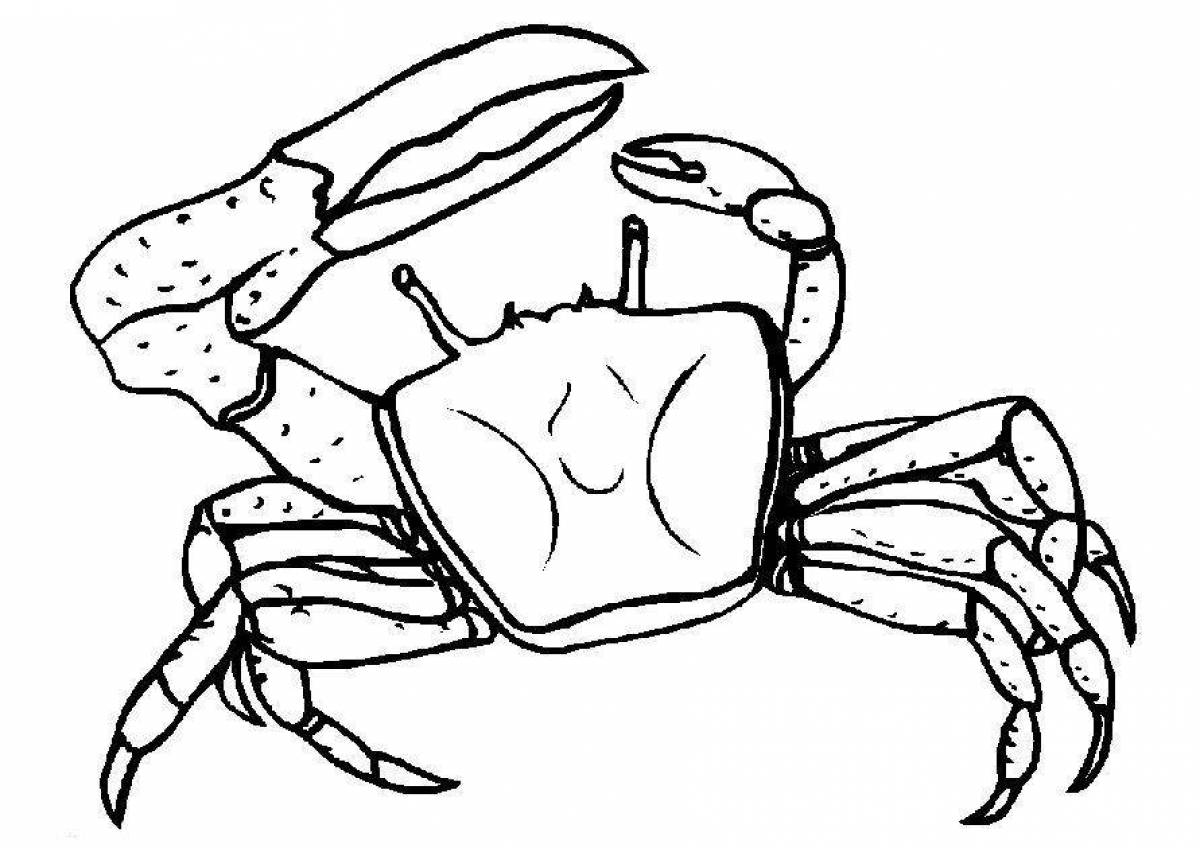 Crab for kids #5