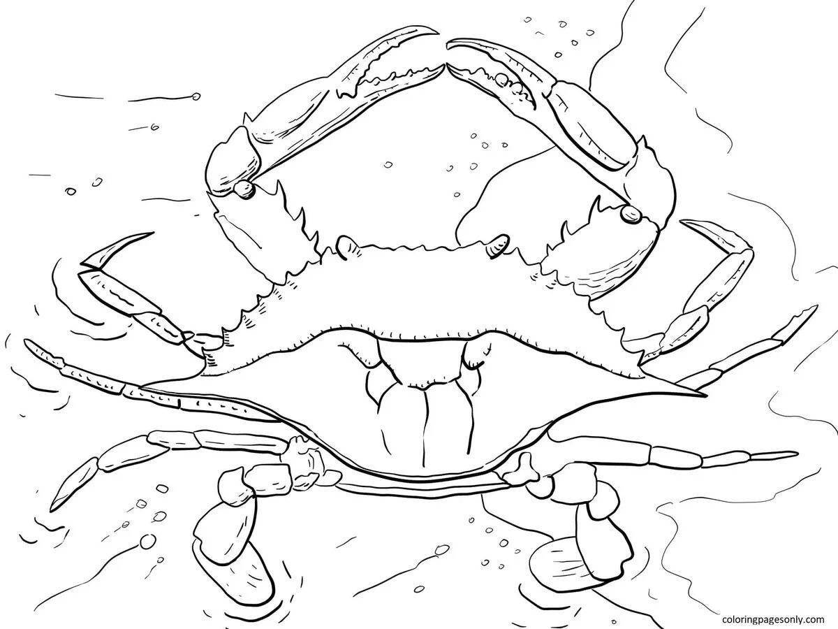 Crab for kids #10