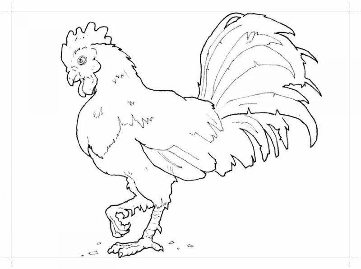Crazy rooster coloring pages for kids