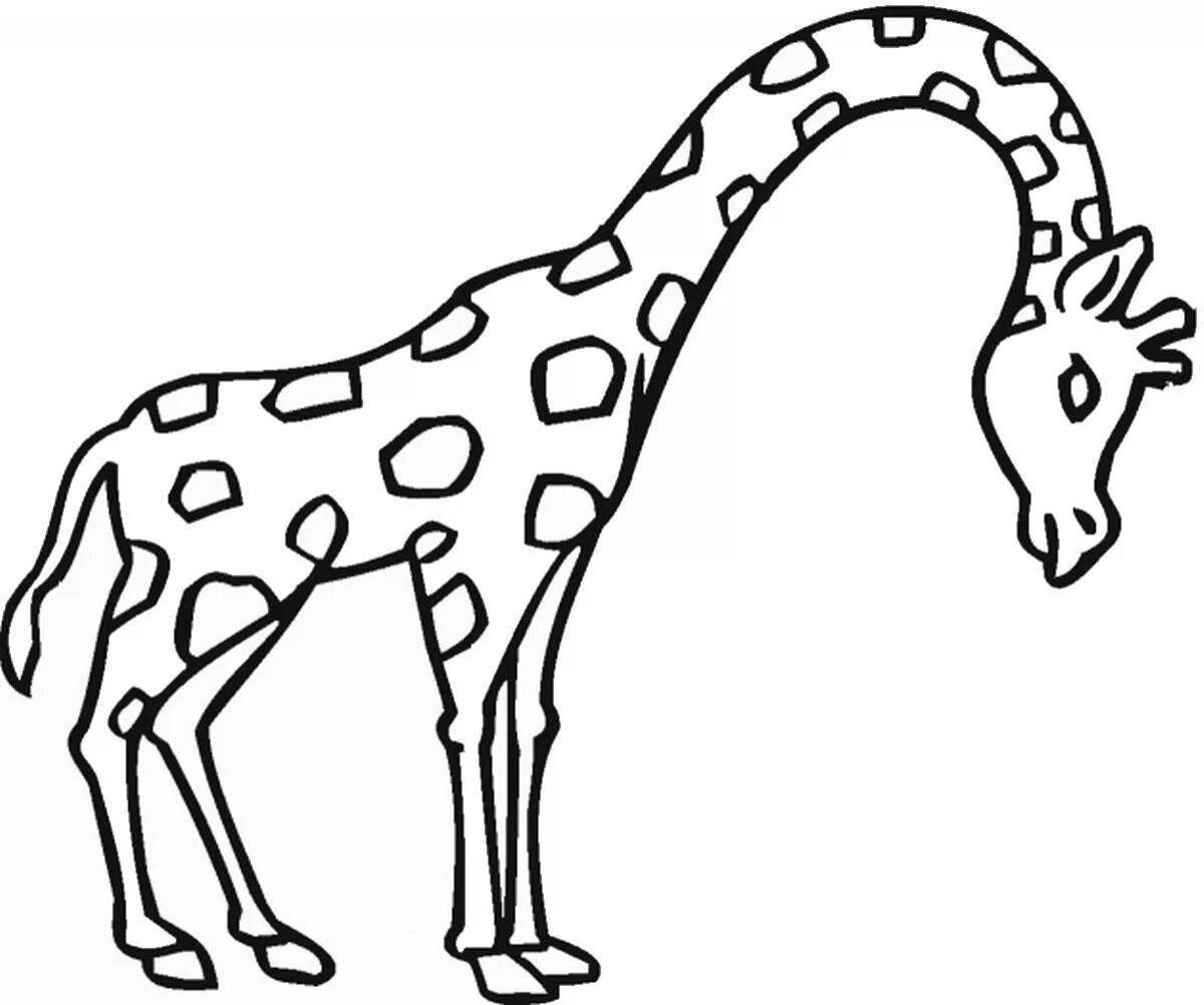 Жираф рисунок для детей раскраска