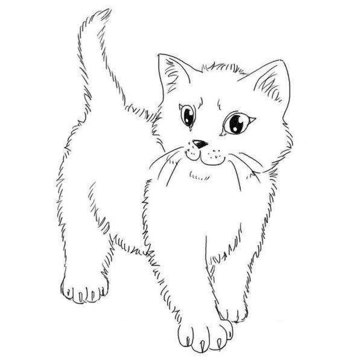 Coloring page fluffy kitten