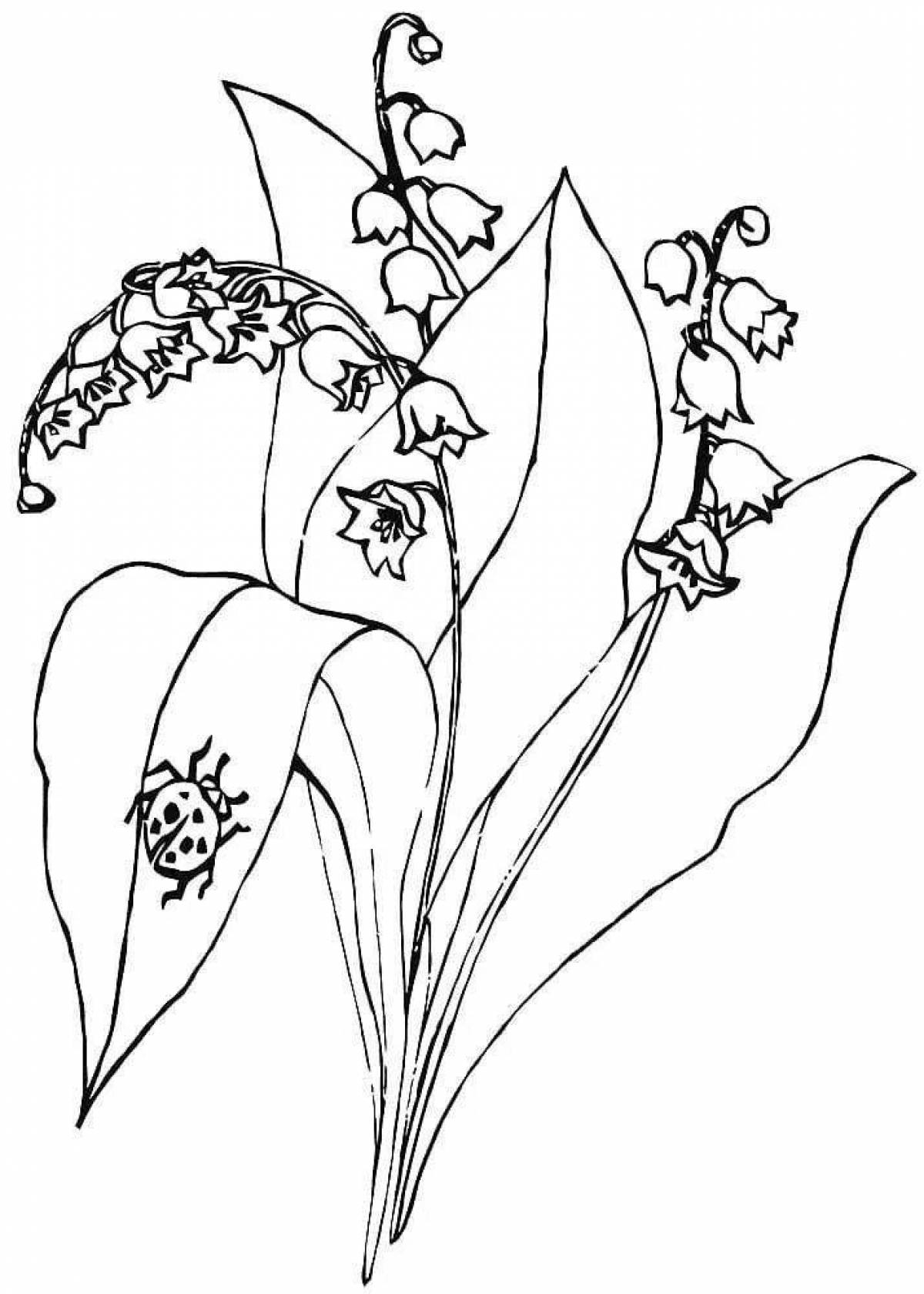 Delightful lily of the valley coloring book for kids