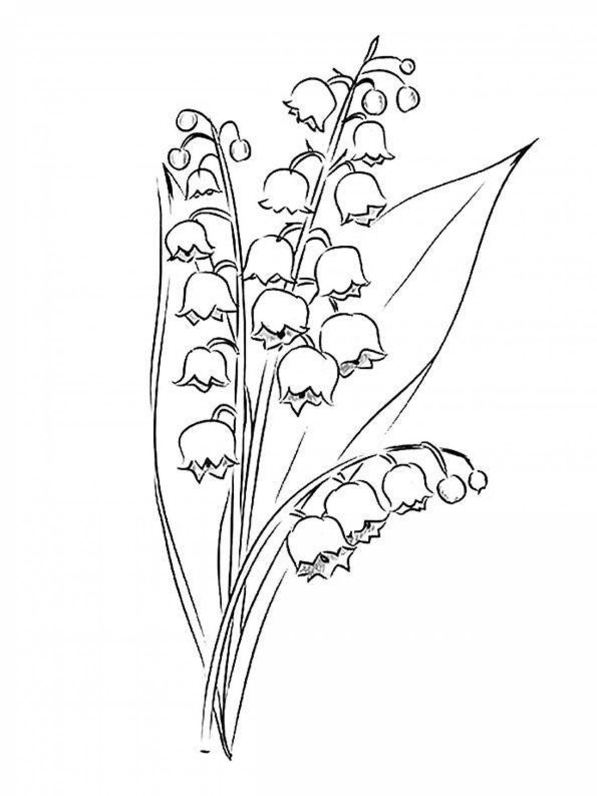 Beautiful lily of the valley coloring book for kids