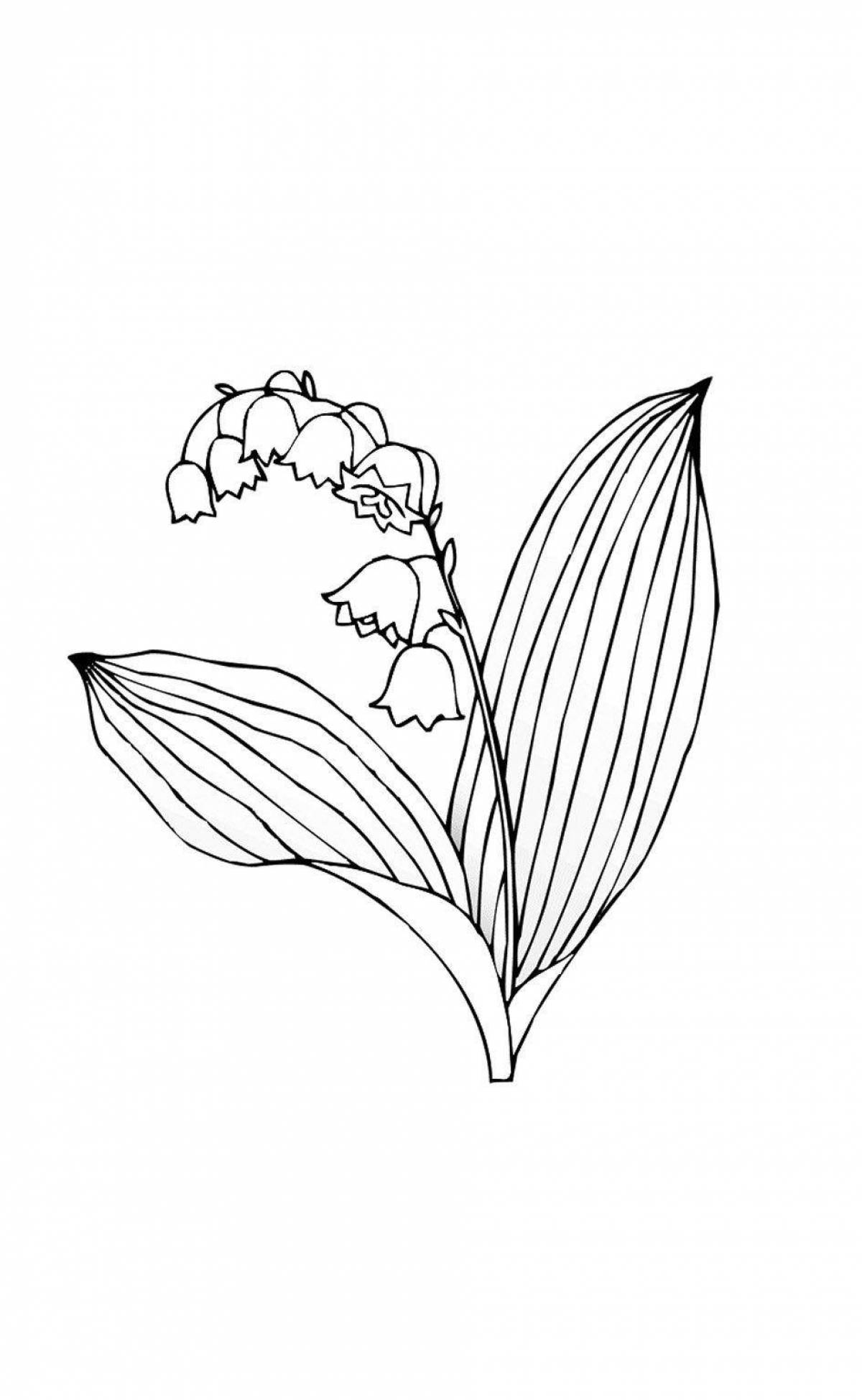 Fun coloring lily of the valley for kids