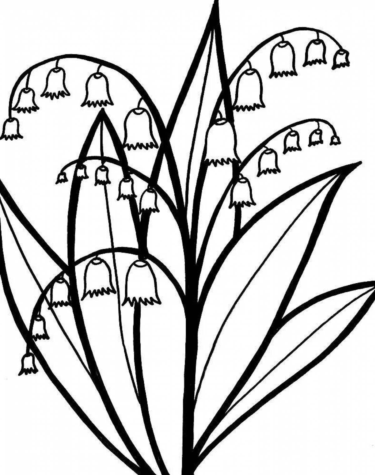 Radiant lily of the valley coloring book for kids