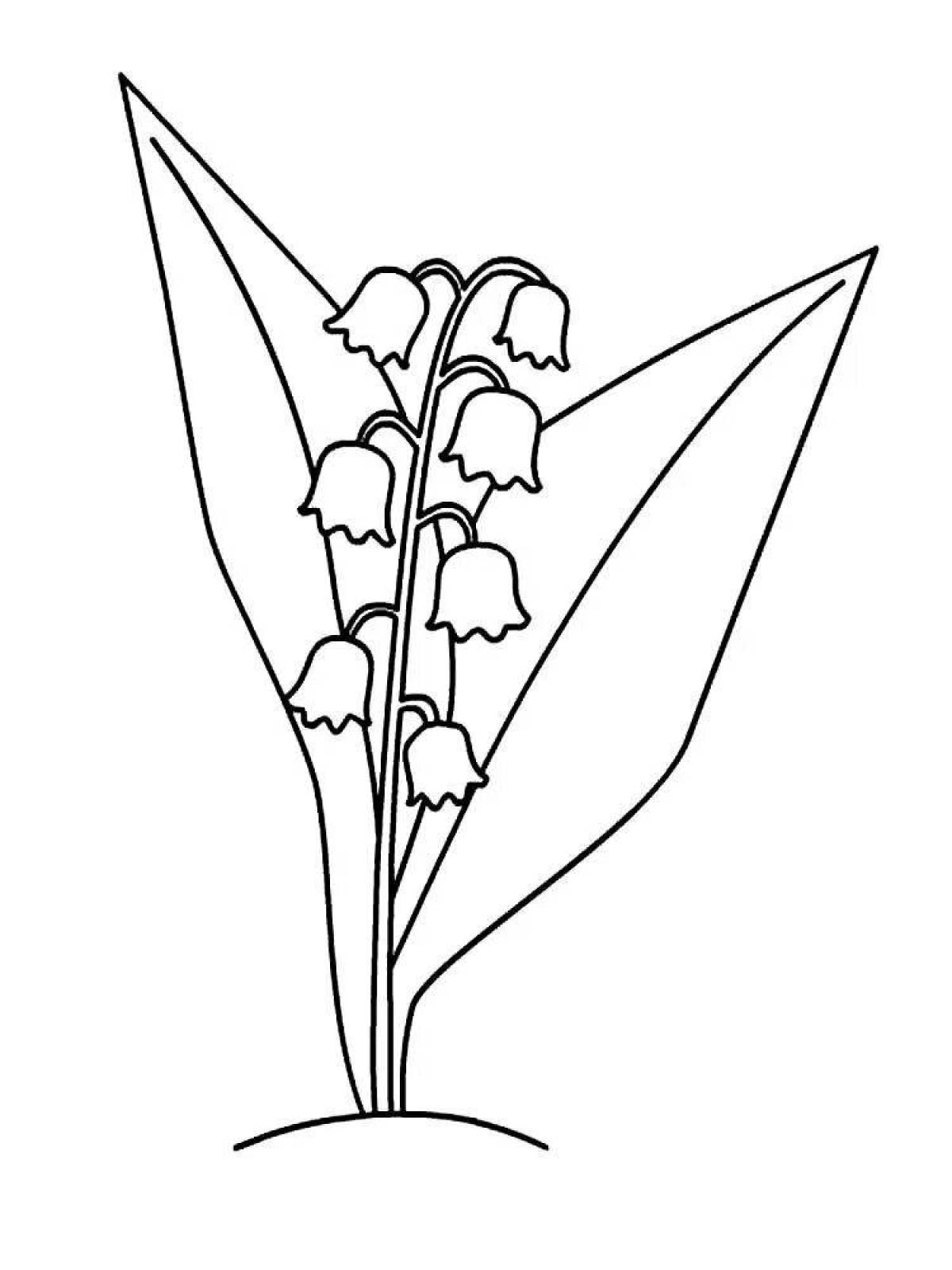 Blissful lily of the valley coloring book for kids