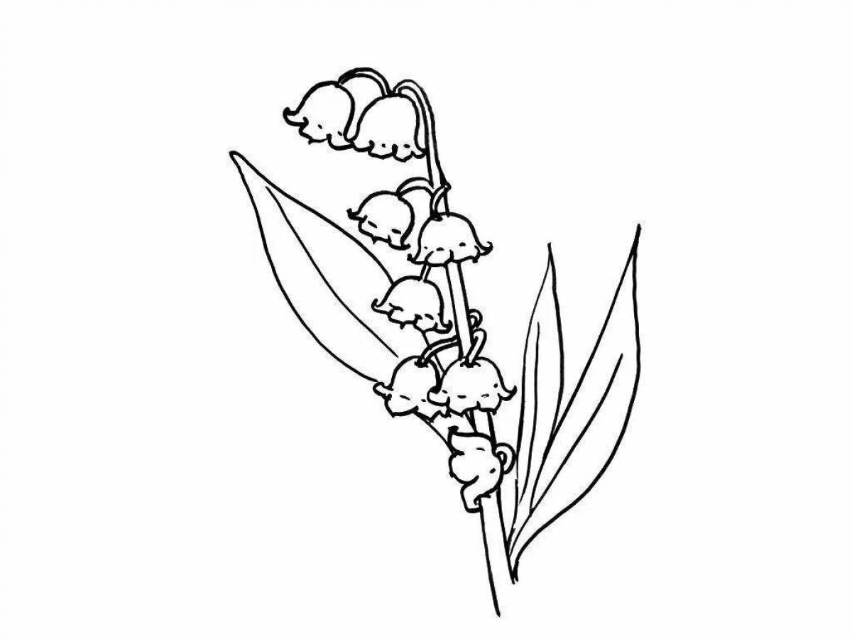 Elegant lily of the valley coloring book for kids