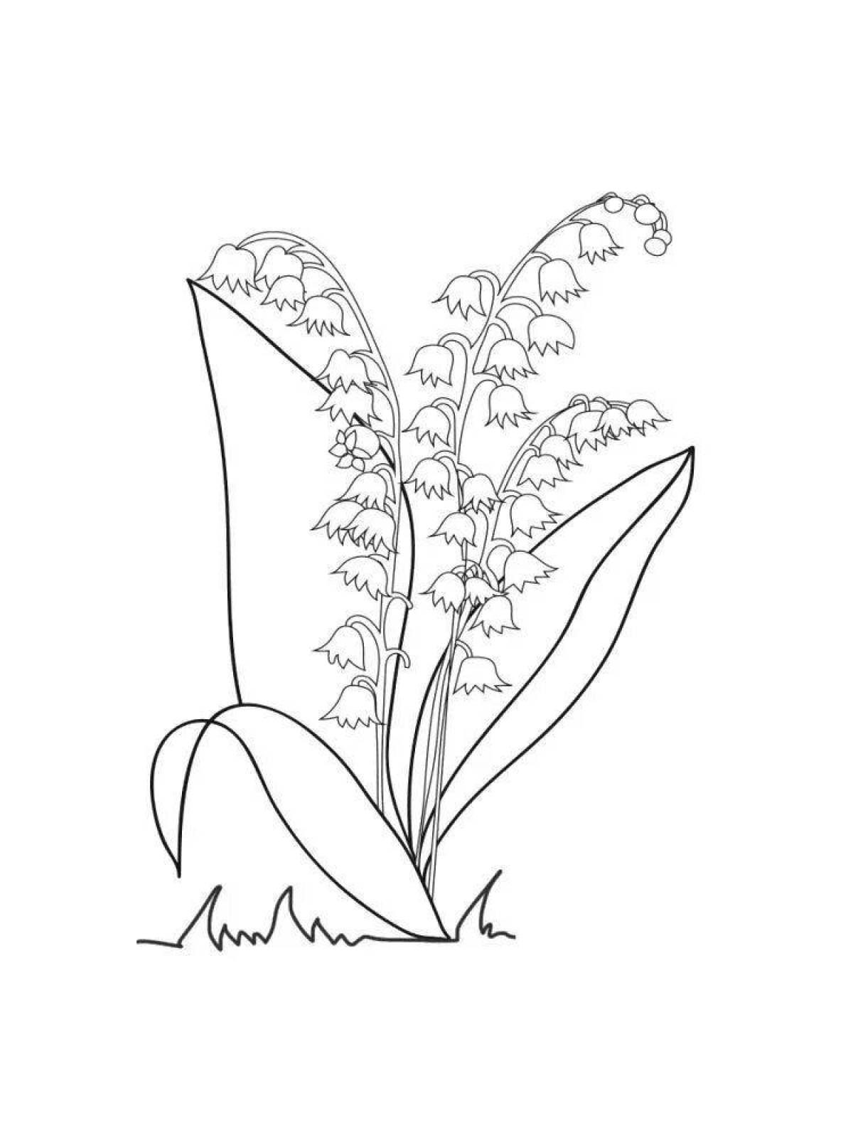 A wonderful lily of the valley coloring book for kids