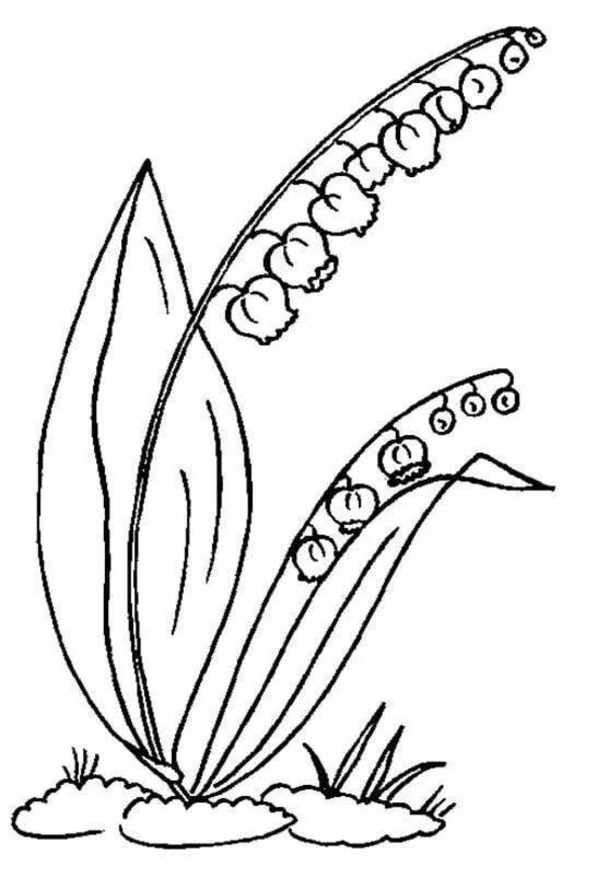 Amazing lily of the valley coloring book for kids
