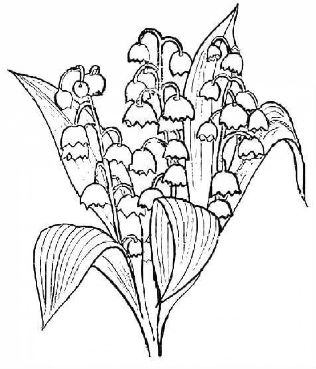 Dazzling lily of the valley coloring book for kids
