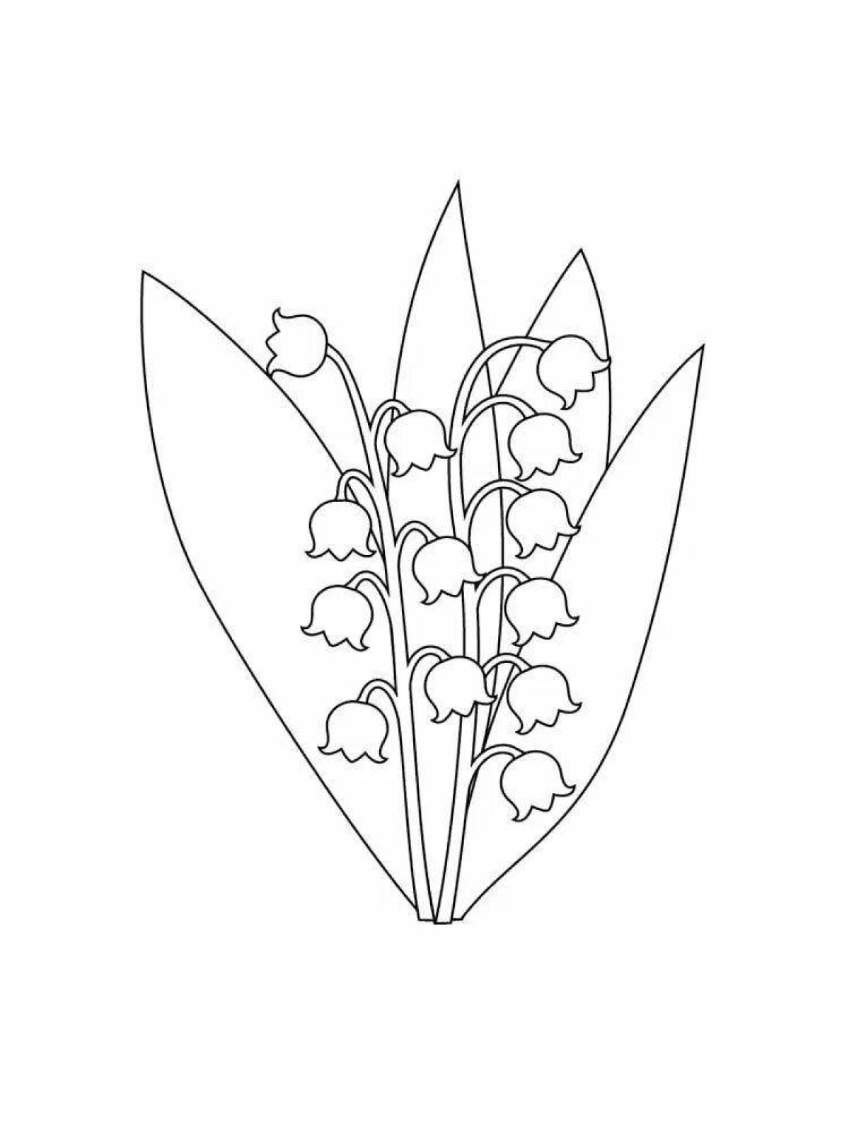 Exciting lily of the valley coloring book for kids