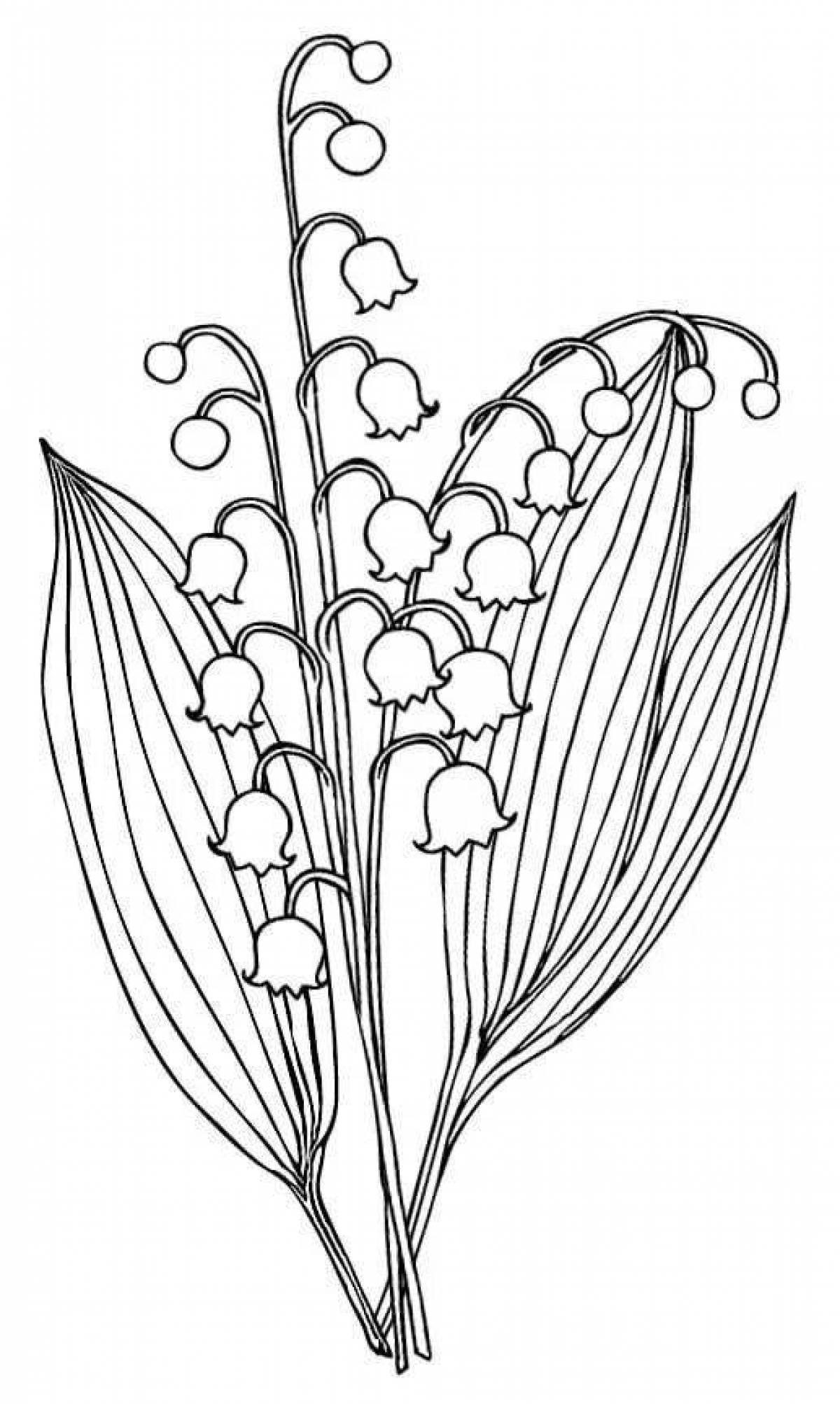 Glamourous lily of the valley coloring book for kids