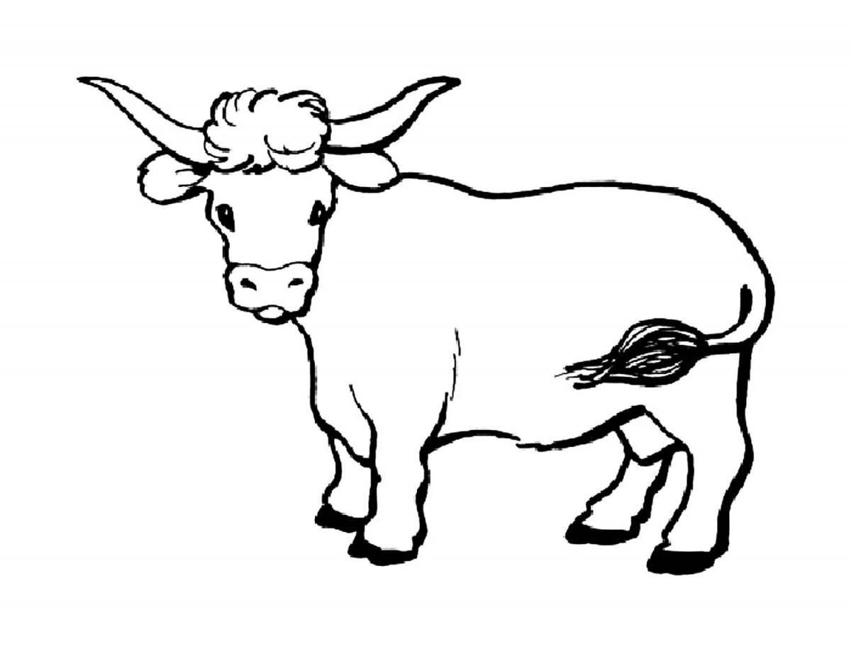 Colourful bull coloring for kids