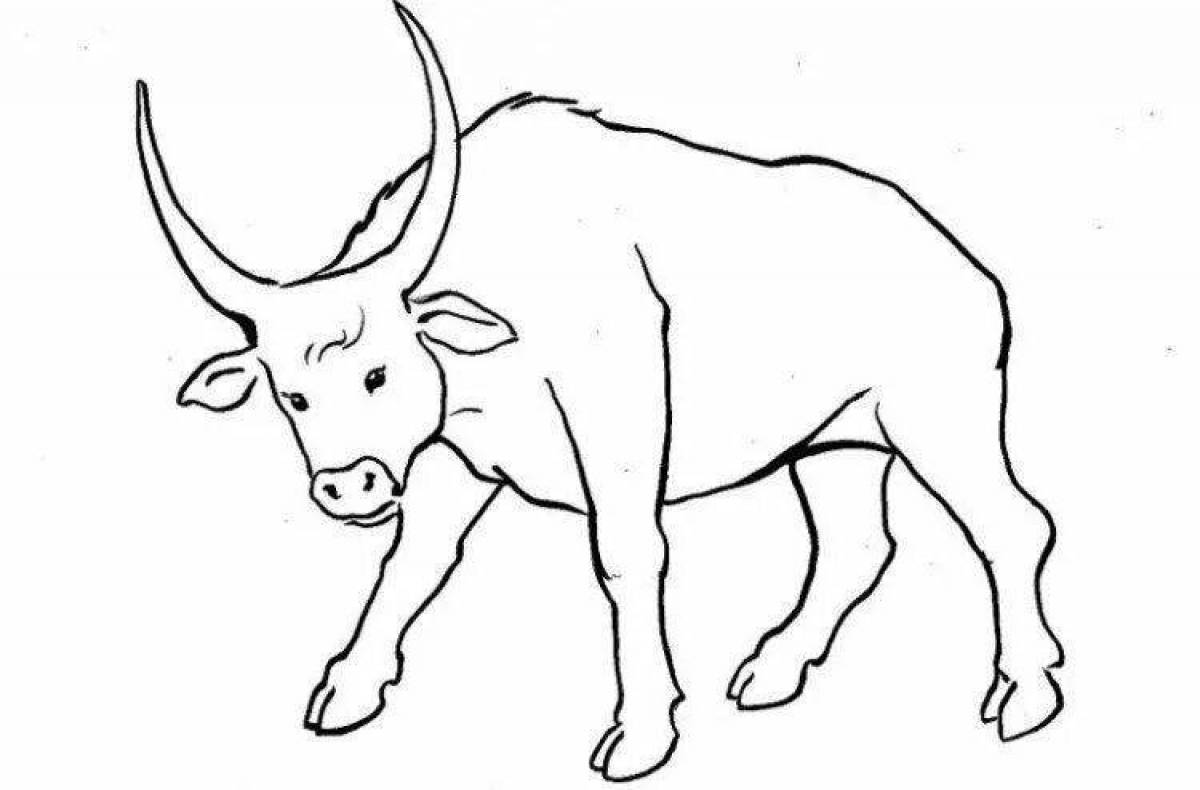 Coloring cute bull for kids